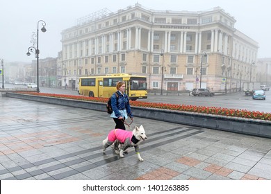 Vladivostok, Russia, May, 19, 2019. 
 Woman With White Dog Walking Down The Street Svetlanskaya In Heavy Fog