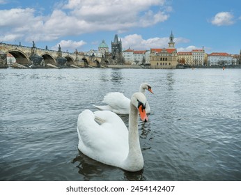 The Vltava is the longest river in the Czech Republic, running southeast along the Bohemian Forest and then north across Bohemia. It is commonly referred to as the Czech national river. - Powered by Shutterstock