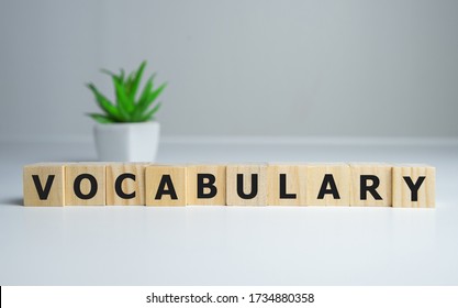 Vocabulary word on wooden cubes, english concept.