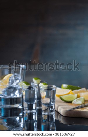 Vodka drinks with lemon and lime garnish