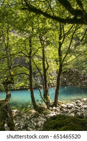  Voidomatis Springs