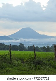 Volcan De Izalco