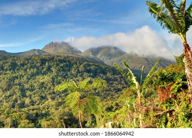 Volcan La Soufrière In Guadeloupe Caribbean