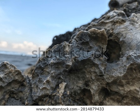 Volcanic Basalt Boulder Resting Among Weathered Coral Limestone on a Beach in Yogyakarta Indonesia

A close-up coastal landscape captures a dark volcanic basalt boulder resting naturally among weathered coral limestone along the shoreline of Yogyakarta, Indonesia, photographed on 26 June 2026. The striking contrast between smooth volcanic rock and highly porous uplifted limestone illustrates the remarkable geological diversity found on the southern coast of Java, making the image suitable for geology publications, environmental education, editorial features, travel campaigns, scientific references, and commercial design.

The composition highlights the coexistence of two distinct geological materials shaped by entirely different natural processes. The dense basalt, formed through volcanic activity, stands beside ancient coral limestone sculpted over centuries by waves, salt spray, and coastal weathering. Windblown sand settles naturally within cavities and crevices, emphasizing the continuous interaction between marine erosion and landscapes that characterizes Indonesia's dynamic coastline.

The low-angle perspective strengthens the foreground textures while maintaining a soft environmental context of the beach beyond. Rich mineral detail, contrasting stone surfaces, and balanced natural lighting create an image that is highly adaptable for educational presentations, earth science publications, conservation campaigns, tourism promotion, editorial layouts, website banners, commercial branding, background graphics, and creative projects inspired by coastal geology and natural landscapes.