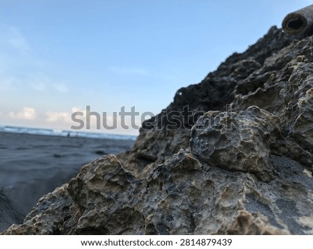 Volcanic Basalt Boulder Resting Among Weathered Coral Limestone on a Beach in Yogyakarta Indonesia

A close-up coastal landscape captures a dark volcanic basalt boulder resting naturally among weathered coral limestone along the shoreline of Yogyakarta, Indonesia, photographed on 26 June 2026. The striking contrast between smooth volcanic rock and highly porous uplifted limestone illustrates the remarkable geological diversity found on the southern coast of Java, making the image suitable for geology publications, environmental education, editorial features, travel campaigns, scientific references, and commercial design.

The composition highlights the coexistence of two distinct geological materials shaped by entirely different natural processes. The dense basalt, formed through volcanic activity, stands beside ancient coral limestone sculpted over centuries by waves, salt spray, and coastal weathering. Windblown sand settles naturally within cavities and crevices, emphasizing the continuous interaction between marine erosion and landscapes that characterizes Indonesia's dynamic coastline.

The low-angle perspective strengthens the foreground textures while maintaining a soft environmental context of the beach beyond. Rich mineral detail, contrasting stone surfaces, and balanced natural lighting create an image that is highly adaptable for educational presentations, earth science publications, conservation campaigns, tourism promotion, editorial layouts, website banners, commercial branding, background graphics, and creative projects inspired by coastal geology and natural landscapes.