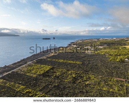Volcanic Basalt Stone Protective Walls and Vineyards on Pico Island. Atlantic Ocean. Azores. Portugal. Aerial Shot