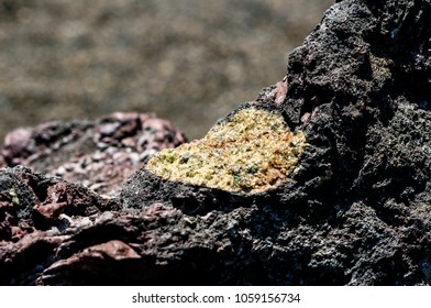 Volcanic Igneous Rocks 