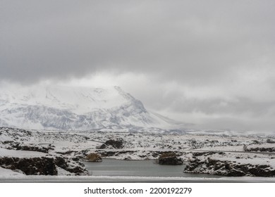 Mývatn Volcanic Lake With A Geothermally Heated Lagoon, Wild Birds