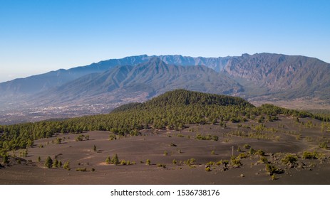volcanic landscape and pine forest at astronomy viewpoint