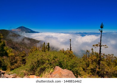 Volcanic landscape Volcano Teide on Tenerife; Canary Islands - Shutterstock ID 1448816462