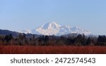 Volcanic Mount Baker under spring snow cover