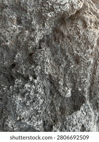 Volcanic rock texture featuring a highly detailed and pockmarked surface with a natural weathered appearance.