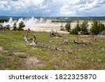 Volcanic Tableland area of Fountain Paint Pots trails and geyser area in Yellowstone National Park