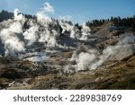 Volcanic Thermal Vents Steam Up The Valley of Bumpass Hell in Lassen Volcanic National Park