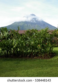 Volcano Arenal La Florida Central Valley Costa Rica Central America