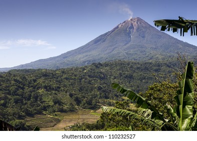 Volcano In Indonesia (Flores)