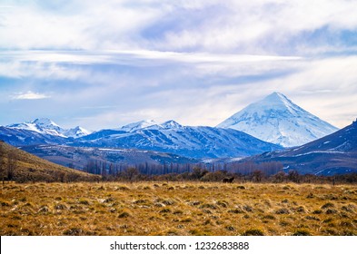 
Lanín Volcano On An Autumnal Day