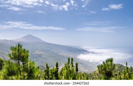 Volcan De Arafo High Res Stock Images Shutterstock