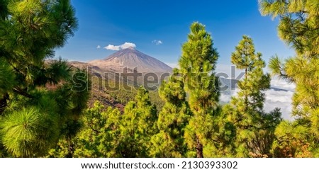 Volcano Teide - view from Mirador La Crucita (Tenerife, Canary Islands) 