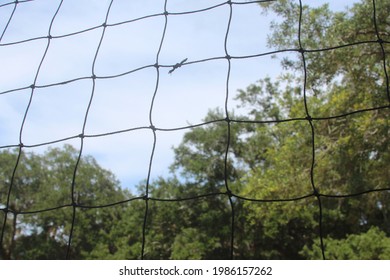 Volleyball Net Perspective In The Park