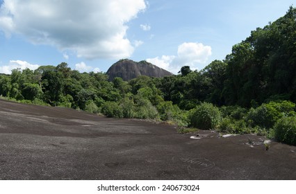 Voltzberg Granite Dome In The Central Suriname Nature Reserve. 