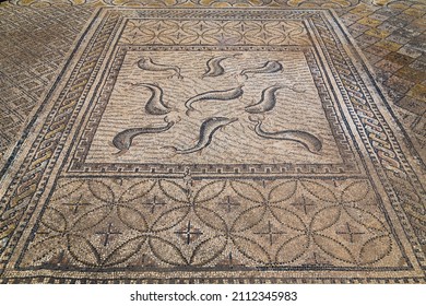 Volubilis is a partly excavated Berber-Roman city in Morocco situated near the city of Meknes, and may have been the capital of the kingdom of Mauretania, at least from the time of King Juba II.