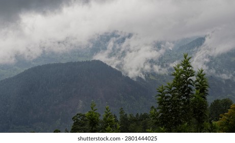 Voluminous clouds rolling over lush green evergreen forests covering mountain ranges
