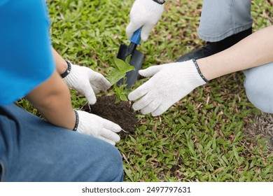 Volunteer Couple Planting Trees Together in a Park to Promote Environmental Conservation and Community Involvement - Powered by Shutterstock