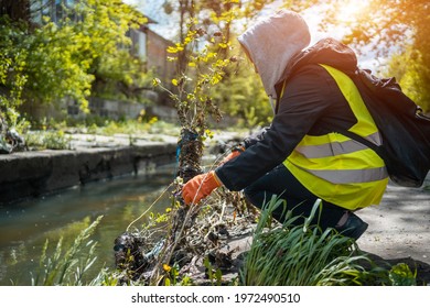 Volunteer Female Cleaning Up Park And Tree From Plastic Litter With Garbage Bag