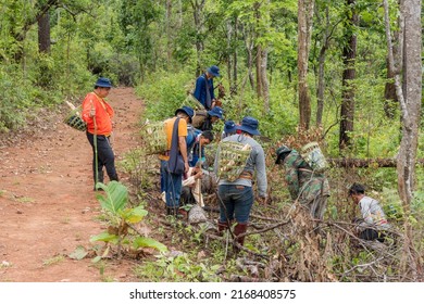 Volunteer Group Surveying Forest Fire Prevention And Forest Maintenance On Doi Pha Som Chiang Mai Province, Thailand - 1 June 2022