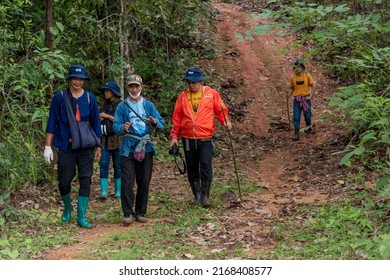 Volunteer Group Surveying Forest Fire Prevention And Forest Maintenance On Doi Pha Som Chiang Mai Province, Thailand - 1 June 2022