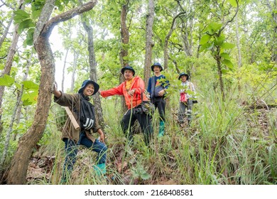 Volunteer Group Surveying Forest Fire Prevention And Forest Maintenance On Doi Pha Som Chiang Mai Province, Thailand - 1 June 2022