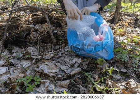 Volunteer hands placing used bubble wrap into large blue collection bag amid dry leaves in woodland. Perfect for recycling awareness, packaging waste and environmental volunteering campaigns