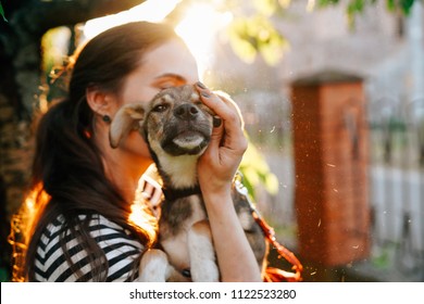 Volunteer holding homeless dog in beautiful sunset light.