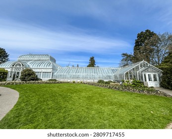 The Volunteer Park Conservatory in Seattle features Victorian glass architecture and beds of common tulip (Tulipa gesneriana) near Douglas fir (Pseudotsuga menziesii) trees.