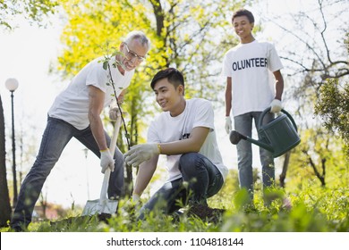 Volunteer Wanted. Merry Three Volunteers Planting Tree And Smiling