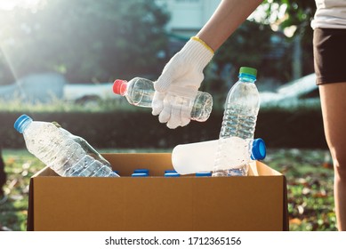 Volunteer woman keep plastic bottle into paper box at public park,Dispose recycle and waste management concept,Good conscious mind - Shutterstock ID 1712365156