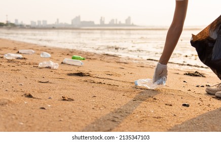 Volunteer Woman Picking Plastic Bottle Into Trash Plastic Bag Black For Cleaning The Beach, Female Clean Up Garbage At Sunset, Ecology Concept And World Environment Day, Save Earth Concept