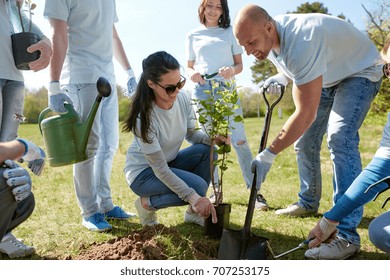 volunteering  charity  people   ecology concept    group happy volunteers planting tree   digging hole and shovel in park