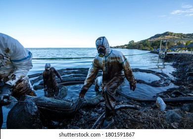 Volunteers clean the ocean coast from oil after a tanker wreck. Mauritius - Shutterstock ID 1801591867