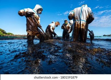 Volunteers clean the ocean coast from oil after a tanker wreck. Mauritius - Shutterstock ID 1801591879