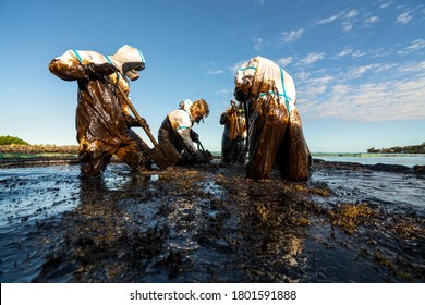 Volunteers clean the ocean coast from oil after a tanker wreck. Mauritius - Shutterstock ID 1801591888