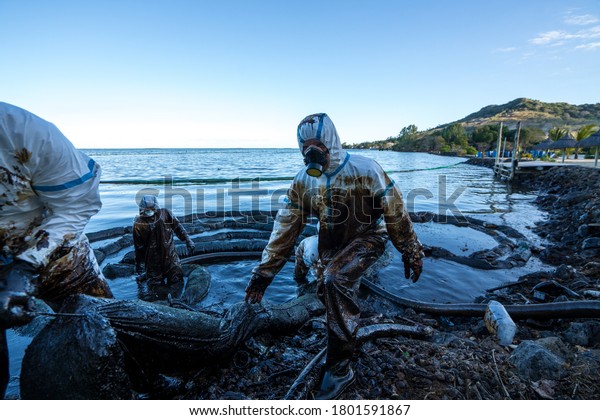 Volunteers clean the ocean coast from oil after\
a tanker wreck.\
Mauritius