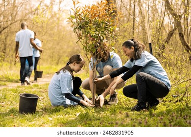 Volunteers and a little kid planting tree and covering hole in the ground, contributing to reforestation and increasing vegetation in the woods. Dedicated people working together for the nature. - Powered by Shutterstock