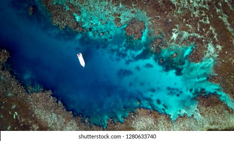 Vomo Coral Reefs, Fiji Islands 