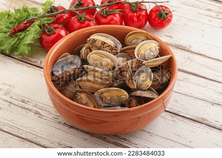 Vongole shellfish mollusc clem with garlic butter