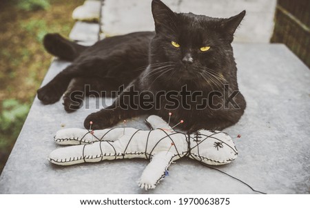 Voodoo Magic. Witchcraft with a doll. Concept of magic.