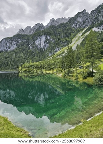 Foto Bild Schöner Gosausee und Dachsteingipfel, Österreich