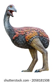 Vorombe Titan is one of three genera of elephant birds, an extinct family of large ratite birds endemic to Madagascar, Vorombe Titan isolated on white background with a clipping path