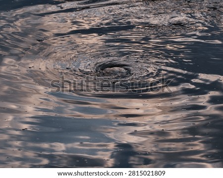 vortex or Whirlpool in a pond
